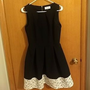 Closet fit and flare dress